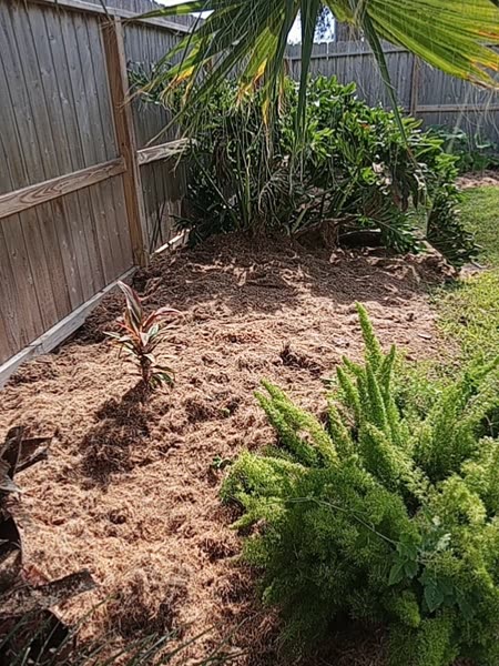 Full crew on a removal job